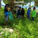 Six marine turtle nesting sites identified in Siromon Island